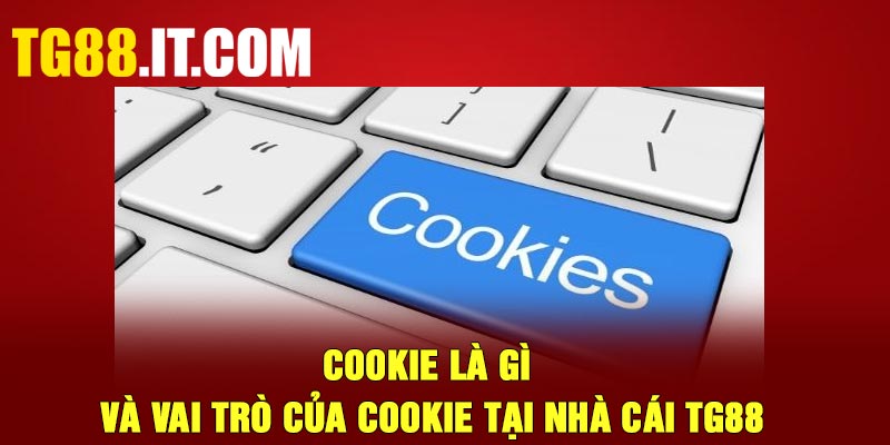 Cookie là gì và vai trò của Cookie tại nhà cái TG88