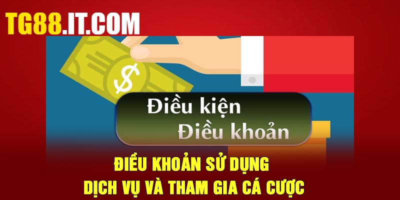 Điều khoản sử dụng dịch vụ và tham gia cá cược